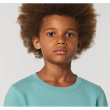 Load image into Gallery viewer, Teal & off white kids sweater